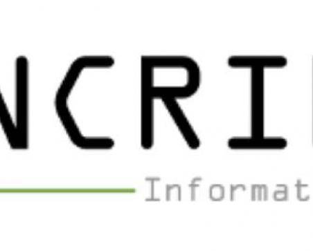 Penetration Tester / IT Security Consultant