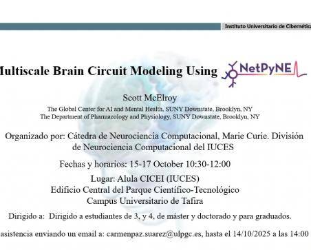 Cartel promocional del seminario Multiscale brain circuit modeling using NetPyNE Description: